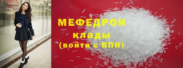 индика Новозыбков