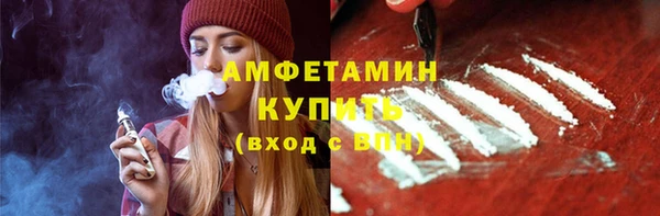 индика Новозыбков