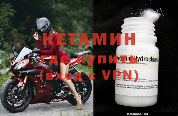 индика Новозыбков