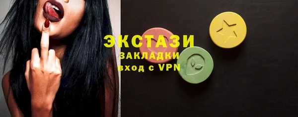 индика Новозыбков