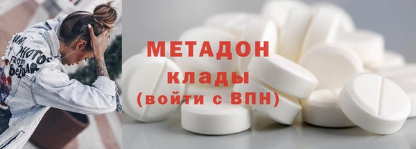 индика Новозыбков