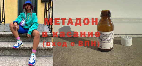 индика Новозыбков