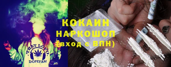 индика Новозыбков