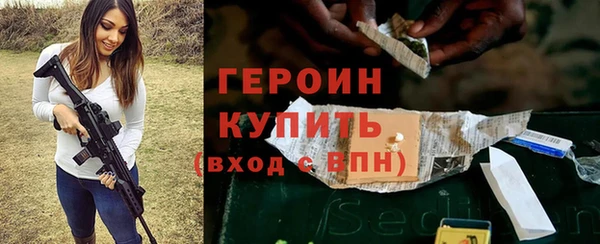 индика Новозыбков