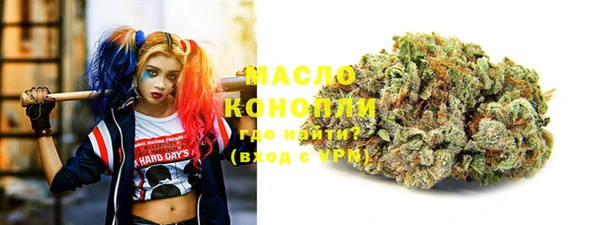 индика Новозыбков