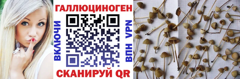 Псилоцибиновые грибы мухоморы Лакинск